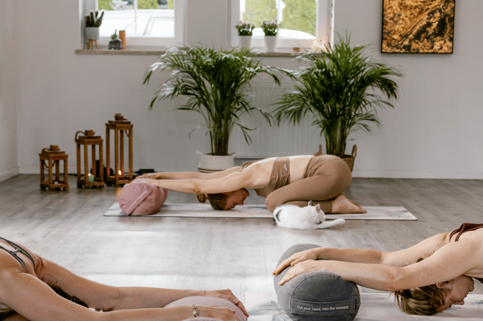 Kurs jogi od podstaw